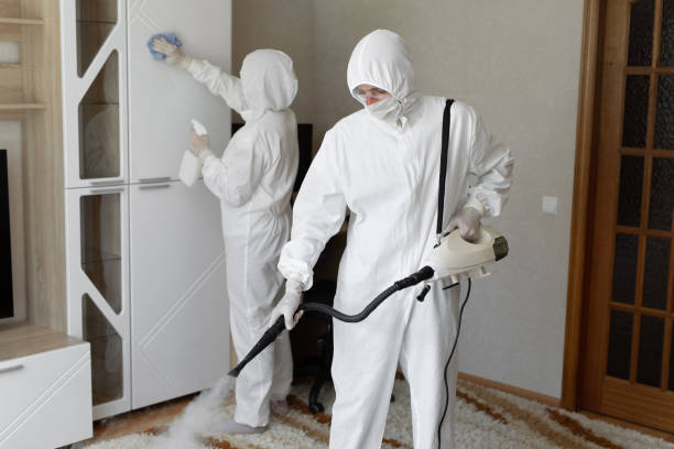 Crawl Space Mold Removal in Horace, ND
